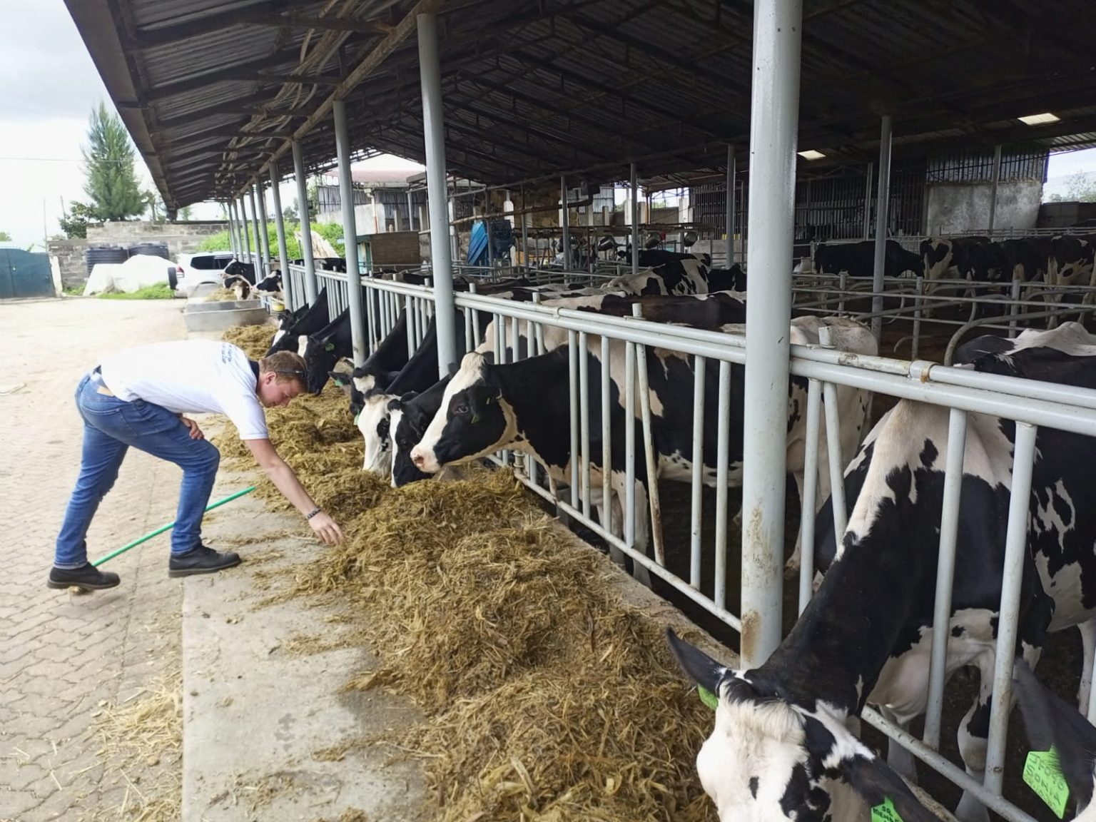 dairy training in kenya 1