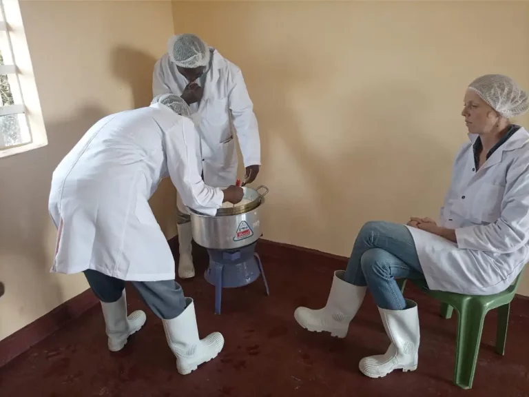 yoghurt making in kenya