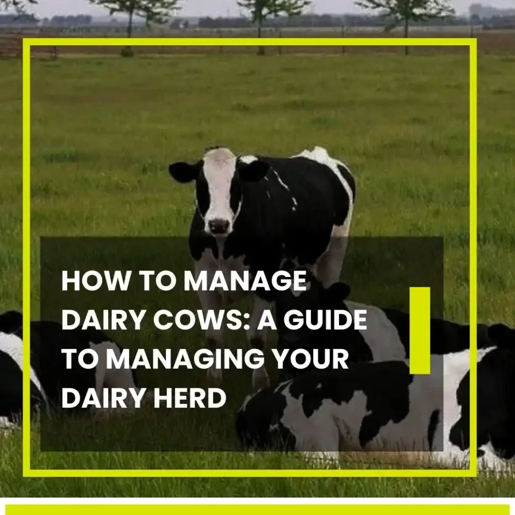 Copy Of Is Dairy Farming (12)