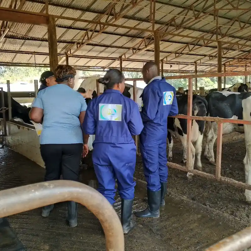 Dairy Training In Kenya Who We Are