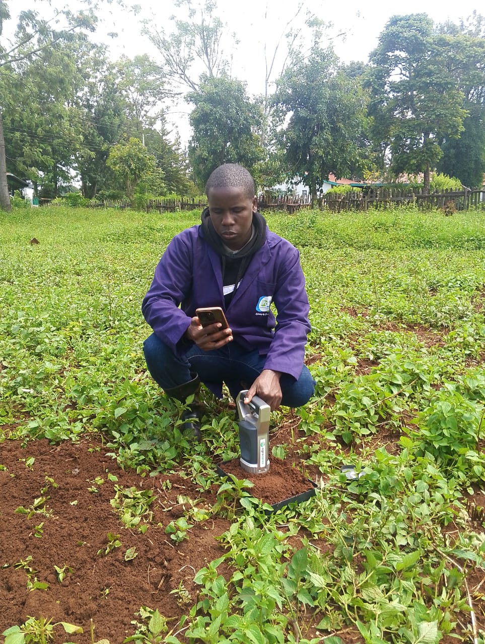 Professional Soil Testing